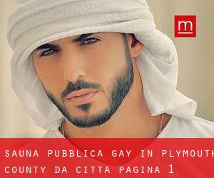 Sauna pubblica Gay in Plymouth County da città - pagina 1