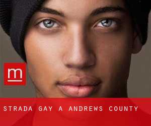 Strada Gay a Andrews County