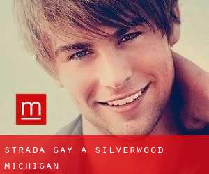 Strada Gay a Silverwood (Michigan)